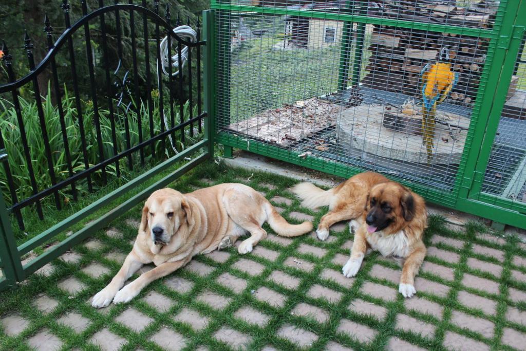 Apartmany A Chalupa Tara Albrechtice v Jizerskych horach Luaran gambar